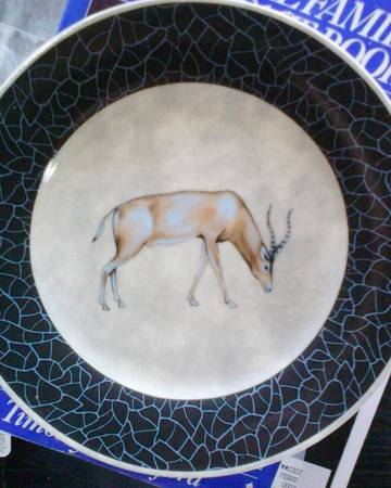 EDS57 Salad Plate