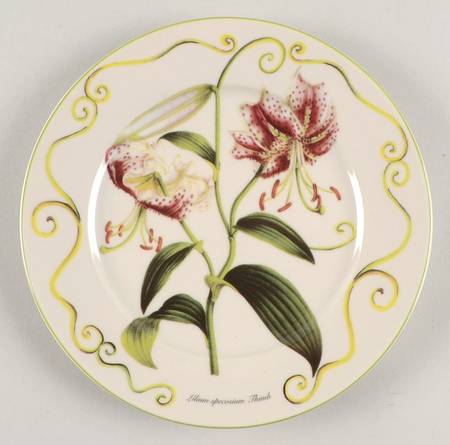 EDS58 Salad Plate