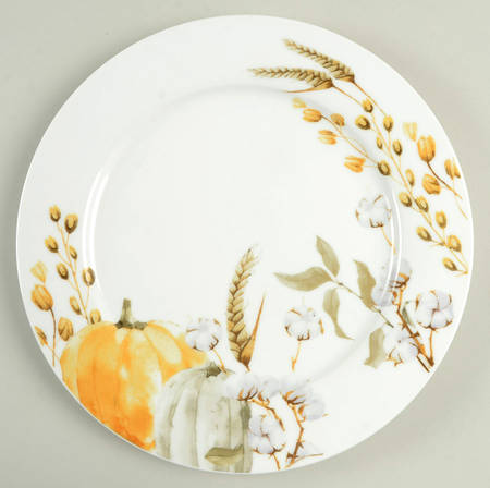E1V1 Dinner Plate