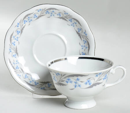 Harmony (Platinum Trim) Footed Cup & Saucer Set
