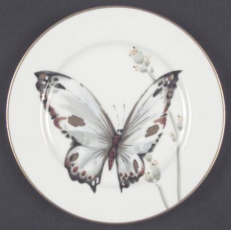 Cho Cho Salad Plate
