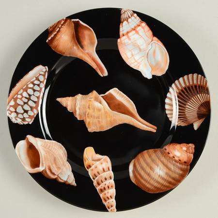 Coquille De Mer (Black Background) by Fitz &amp; Floyd
