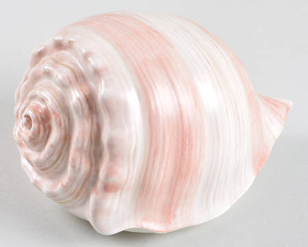 Coquille Shell Shaped Box with Lid