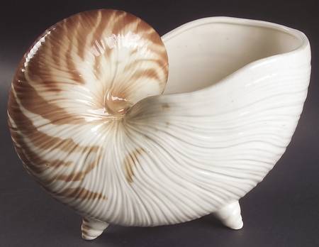 Coquille Nautilus Vase