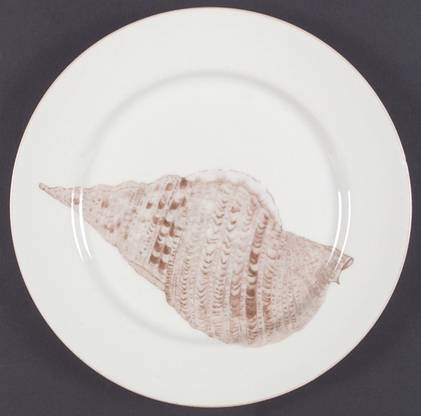 Coquille Dinner Plate by Fitz & Floyd