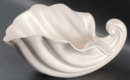 Coquille 4" Conch Shell (Vase/Planter)