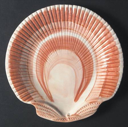 Coquille Luncheon Plate