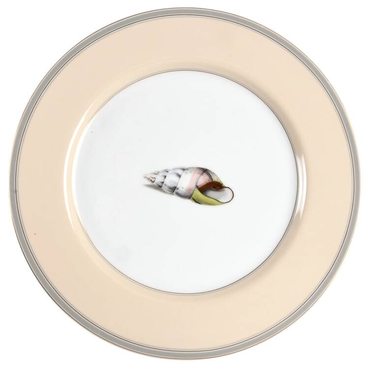 Coquillier Dinner Plate