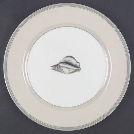 Coquillier Dinner Plate