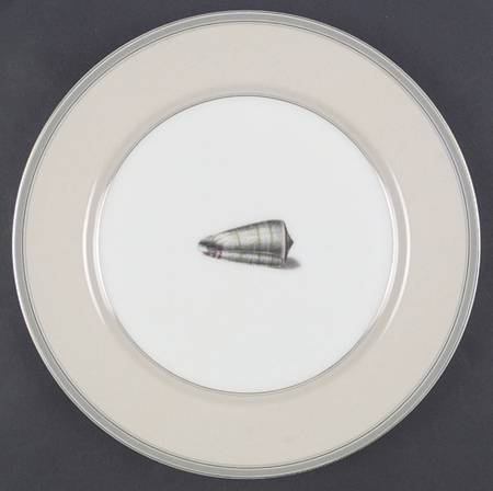 Coquillier Dinner Plate