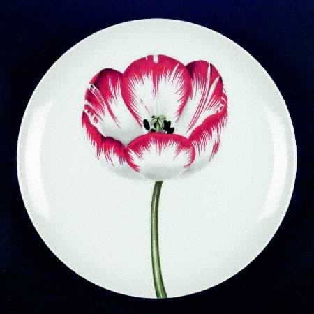 Les Tulipes Luncheon Plate