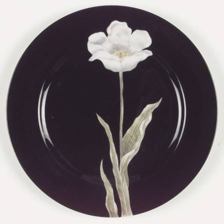 Midnight Poppy Dinner Plate