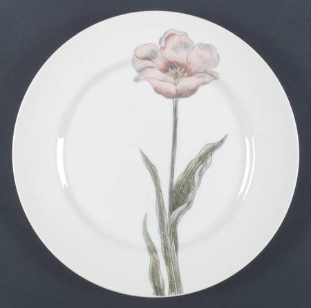 Pastel Poppy (White Background) Dinner Plate