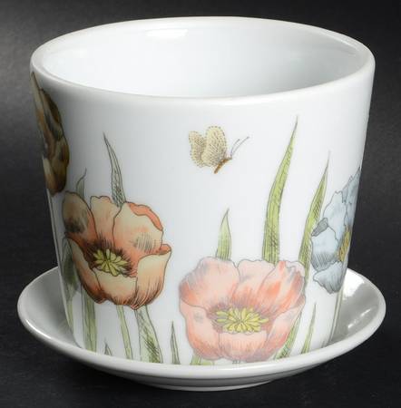Pastel Poppy (White Background) 4" Flower Pot with Underplate
