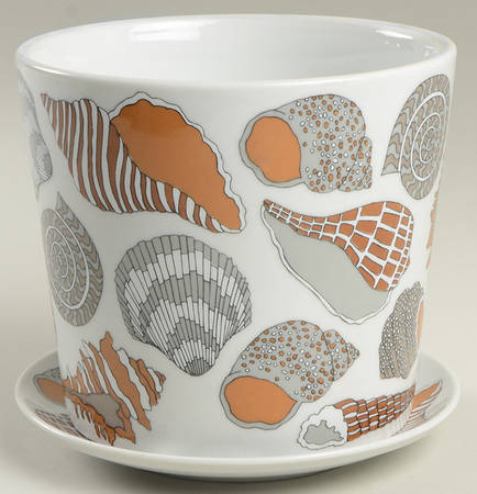 Shell 5" Flower Pot & Underplate