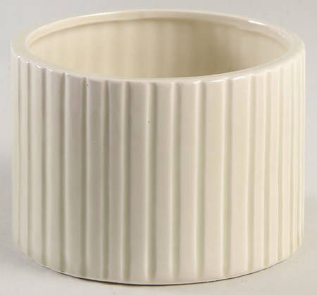 Shell 4" Storage Jar No Lid