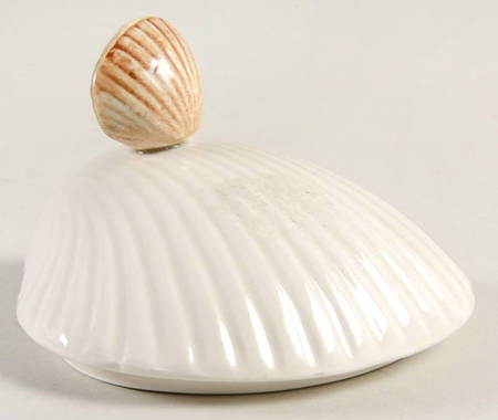 Shell Shell Shaped Box-Lid Only