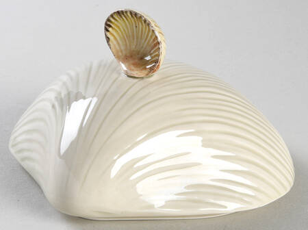 Shell Lid for Small Individual Shell Server