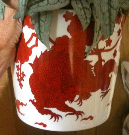 Temple Dragon Large Cachepot