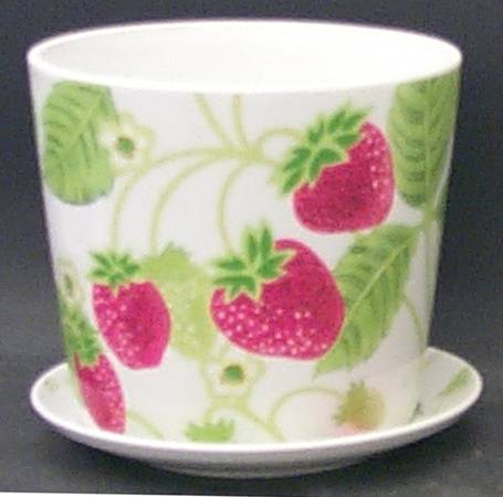 Wild Strawberry Small Flower Pot & Underplate