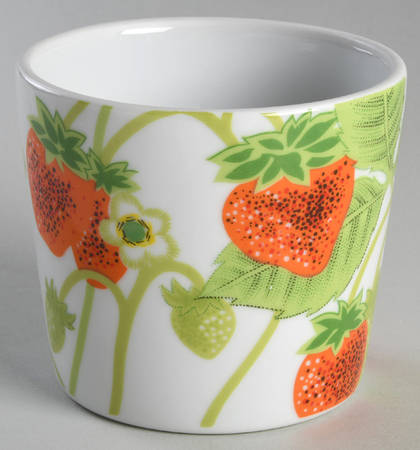 Wild Strawberry 6" Flower Pot No Underplate