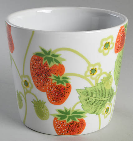 Wild Strawberry 4" Flower Pot No Underplate
