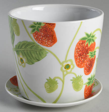 Wild Strawberry 5" Flower Pot & Underplate