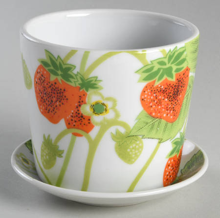Wild Strawberry 4" Flower Pot with Underplate
