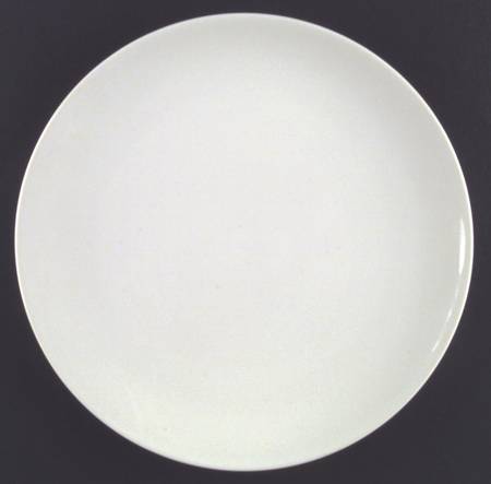 Bon Lite White Coupe Dinner Plate