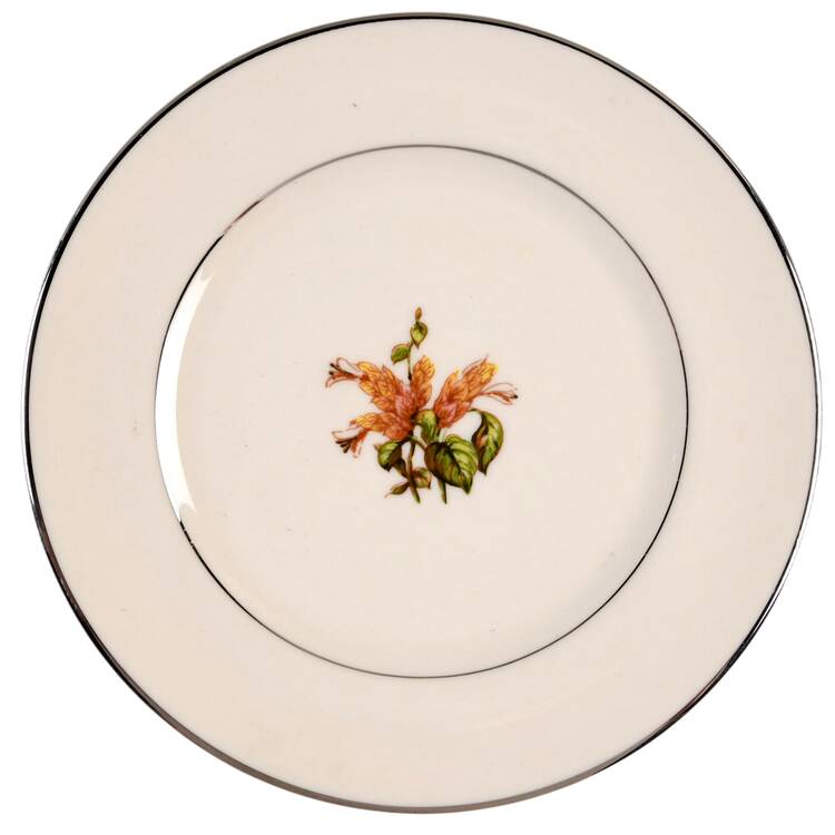 Cambria No Color Band (Platinum Trim) Bread & Butter Plate