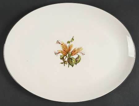 Cambria No Color Band (Platinum Trim) 14" Oval Serving Platter