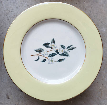 Ceylon Yellow by Flintridge