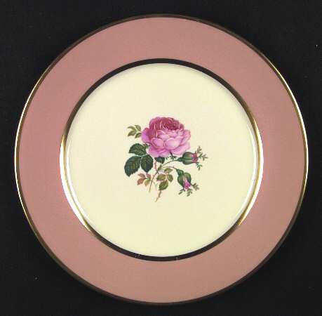 Moss Rose Rose by Flintridge