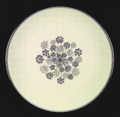Silver Shadows (Rim & Coupe) Coupe Dinner Plate