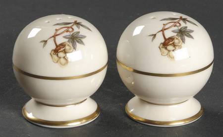 Woodrose No Color Band (Gold Trim, Rim) Salt & Pepper Set