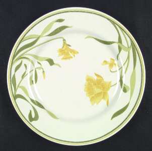 Daffodil (Greenhouse) by Franciscan