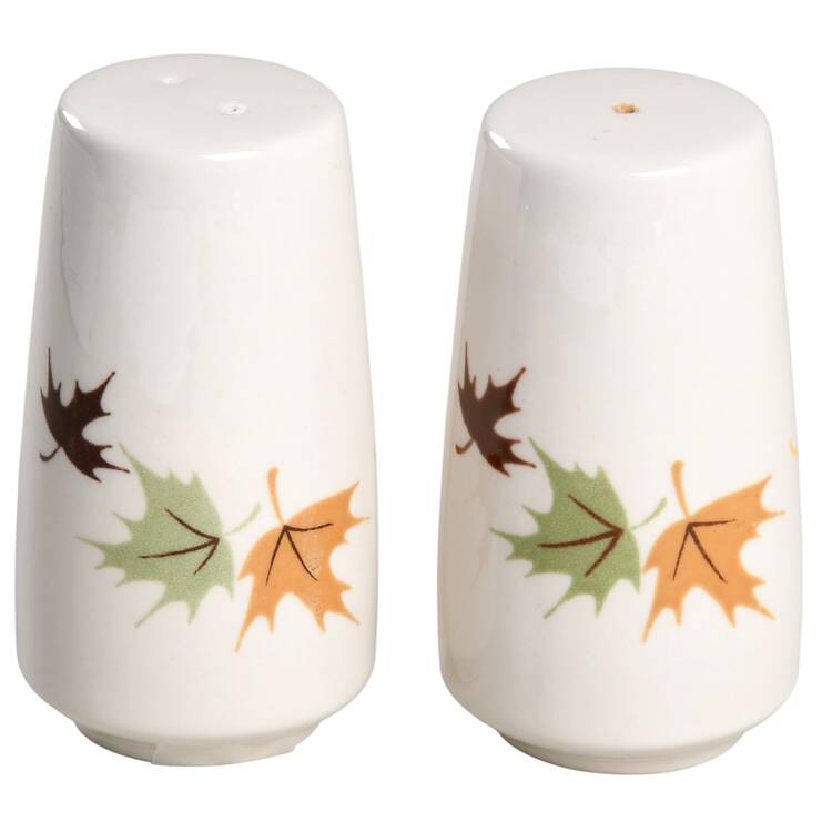 Indian Summer Salt & Pepper Set