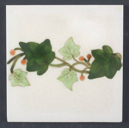 Ivy (American) Tea Tile
