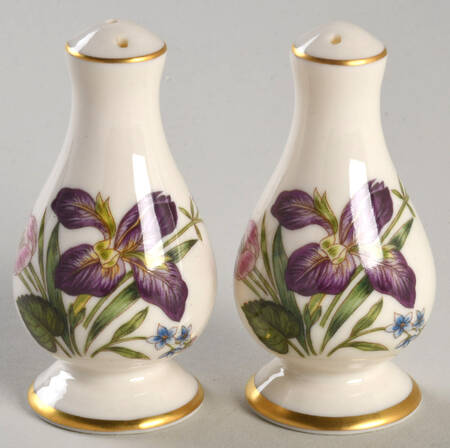 Mariposa Salt & Pepper Set by Franciscan