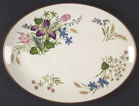 Mariposa 16" Oval Serving Platter by Franciscan