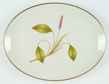 Mesa (Fine China) 16" Oval Serving Platter by Franciscan