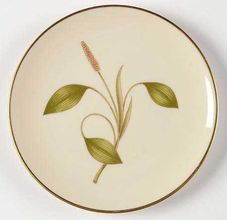 Mesa (Fine China) Bread & Butter Plate by Franciscan