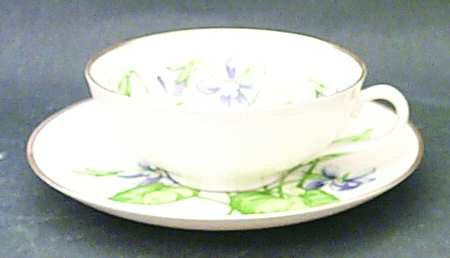 Olympic Flat Cup & Saucer Set by Franciscan