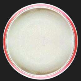 Ovation Coral by Franciscan