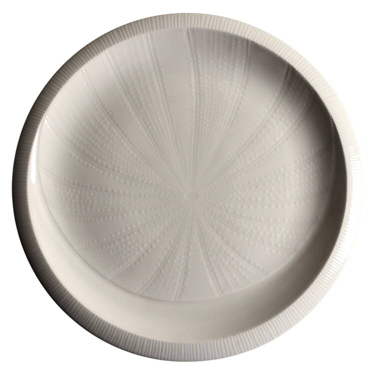 Sea Sculptures White Dinner Plate by Franciscan