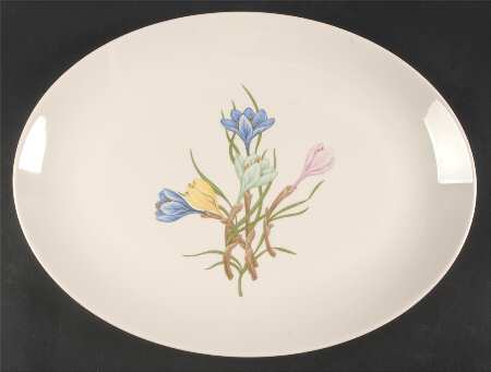 Sierra (Fine China) 16" Oval Serving Platter