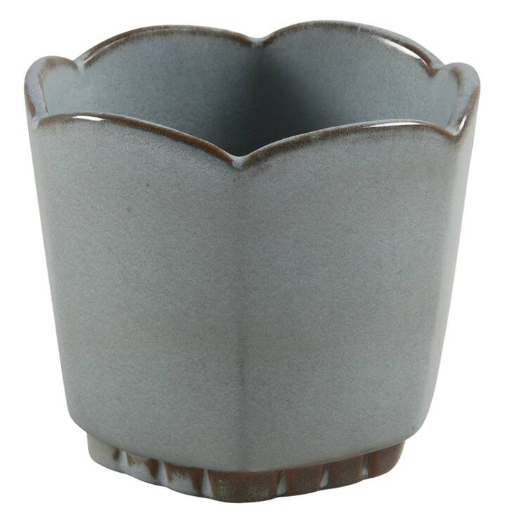 Plainsman Woodland Moss 4" Planter