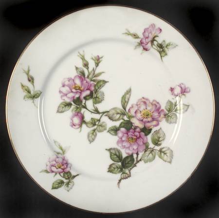 Minuet Dinner Plate