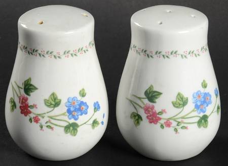 English Garden (225-225a, White Background) Salt & Pepper Set