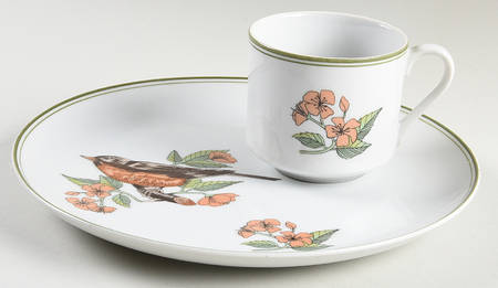 Collector's Bird Snack Plate & Cup Set